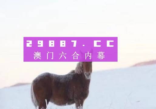 2024澳门正版传真,澳门正版传真——探寻未来的美好蓝图