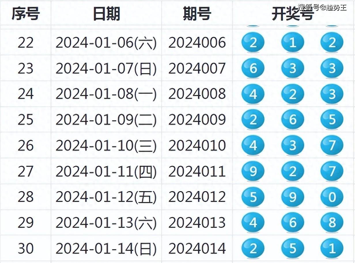 2024新奥今晚开什么资料,揭秘未来之夜，新奥之夜2024的神秘面纱与期待资料