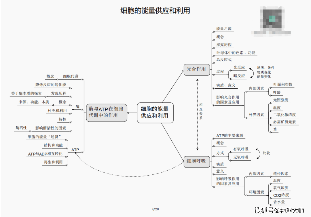 2024新澳三期必出一肖,揭秘新澳三期彩票背后的神秘面纱