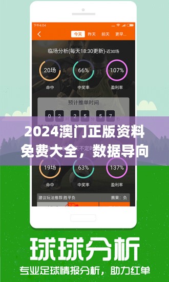 2024新澳精准资料免费,探索未知，迎接新澳的精准资料免费之旅