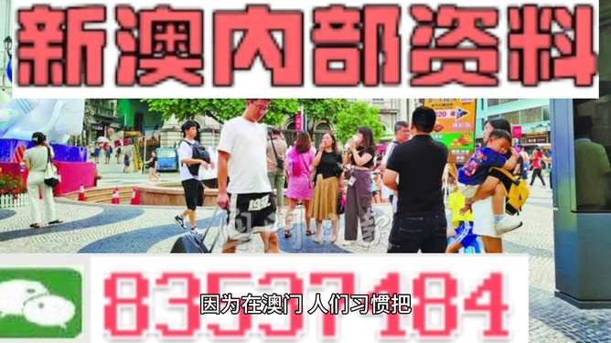 2024新澳资料大全免费,揭秘未来之门，2024新澳资料大全免费探索之旅