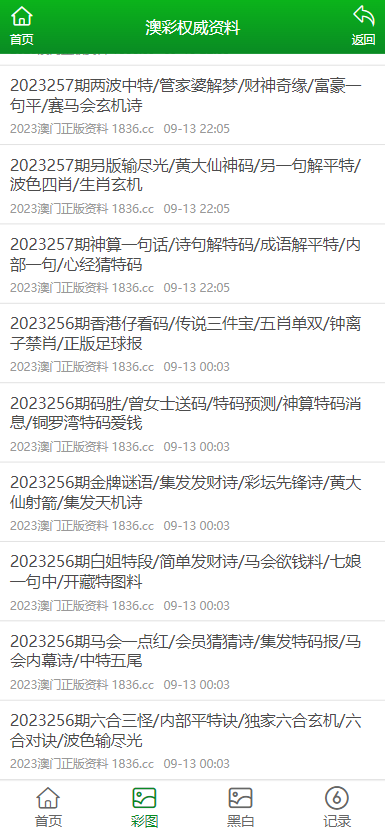 2024澳门免费资料,正版资料,探索澳门，正版资料的魅力与价值之旅（2024版）