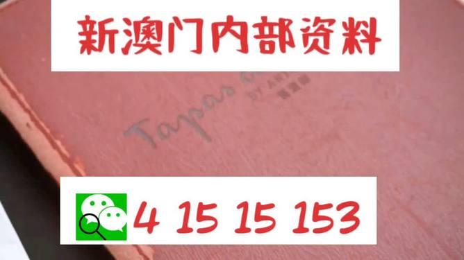 新澳内部资料免费精准37b,新澳内部资料免费精准37b，探索未知领域的奥秘