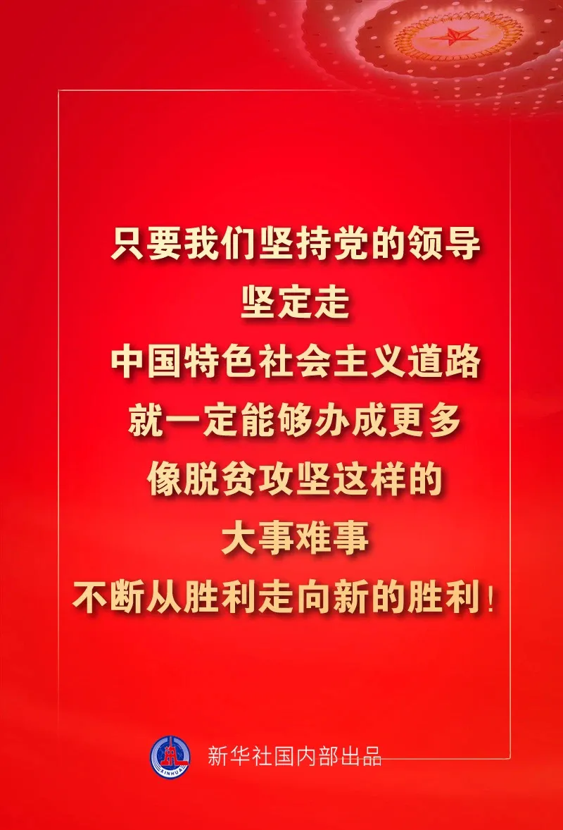 管家婆资料精准一句真言,管家婆资料精准，一句真言揭示智慧与魅力